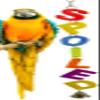 Gnrique Pet Parrot Toy view 4