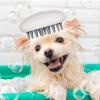 Pet Hair Removal Brush, Massage Comb for Pets view 3