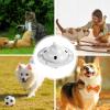 Dog Treat Dispenser Toy - Interactive Feeding Ball view 4