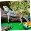 SEWACC Artificial Reptile Plants for Terrariums view 4