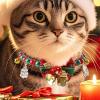 Christmas Collar for Dogs | Collar for Female Puppies with Bells and Charms view 2