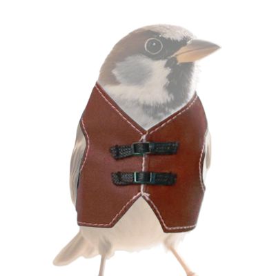 Adjustable Vintage Parrot Harness