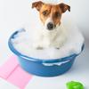 DOITOOL Microfiber Dog Towel for Quick Drying view 4