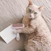 SHINEOFI Pet Care Brush Set view 2