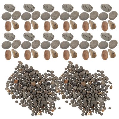 SECFOU Natural River Pebble Decorative Stones for Aquariums, Vases, Mini Gardens, and Landscaping
