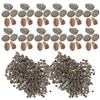 SECFOU Natural River Pebble Decorative Stones for Aquariums, Vases, Mini Gardens, and Landscaping view 1