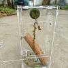 NPXUAMTJ Compact Magnetic Gecko Habitat view 4