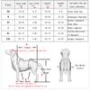 Adjustable 2-Wheel Dog Wheelchair for Rear-Leg Support, 5–60 kg view 2