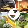 Mushroom Terrarium Decoration 3D Stickers | 2 Pack view 4
