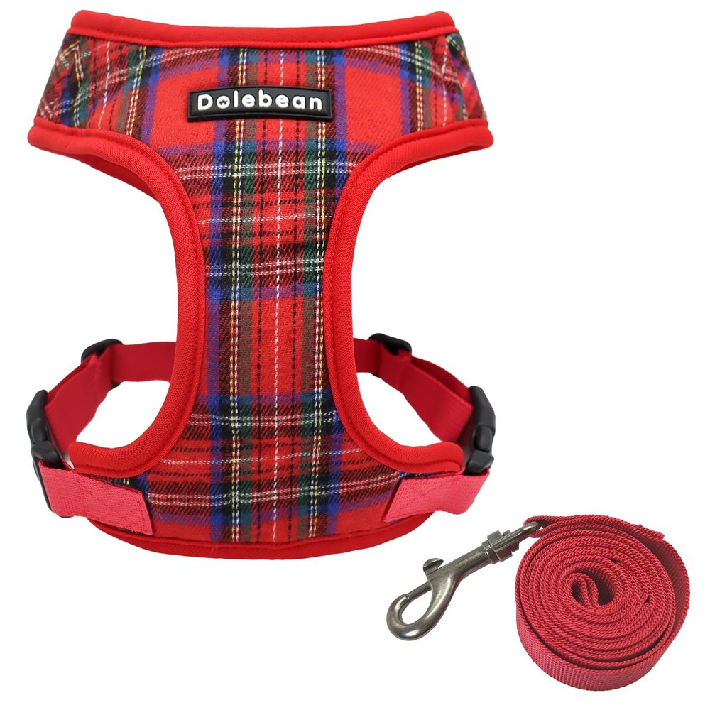 Dog Harness for Small Dogs, Safety Vest with Leash (Red, XL)