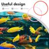 GALPADA 6-Pack Aquarium Feeding Rings 16cm view 4
