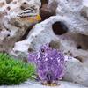 DIYEAH Artificial Aquarium Water Plant view 3