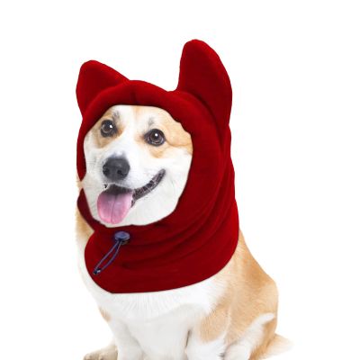 Dog Beanie Hat