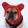 Dog Beanie Hat view 3