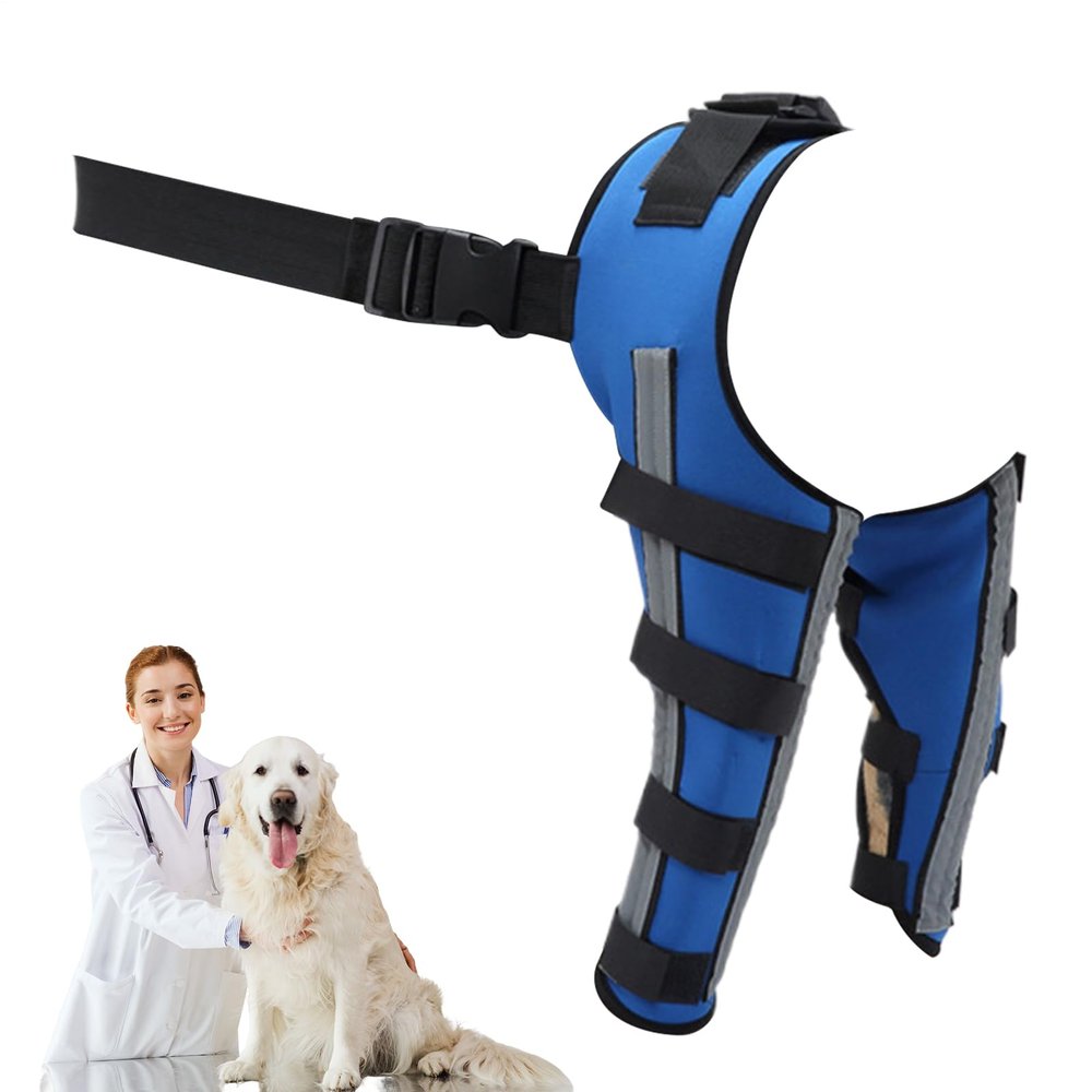 Baoqifong Dog Leg Brace, Knee Support for Dogs – Rear Leg