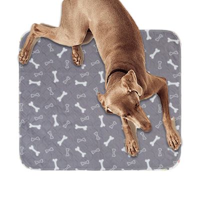 Fast-Absorbing Puppy Training Pads