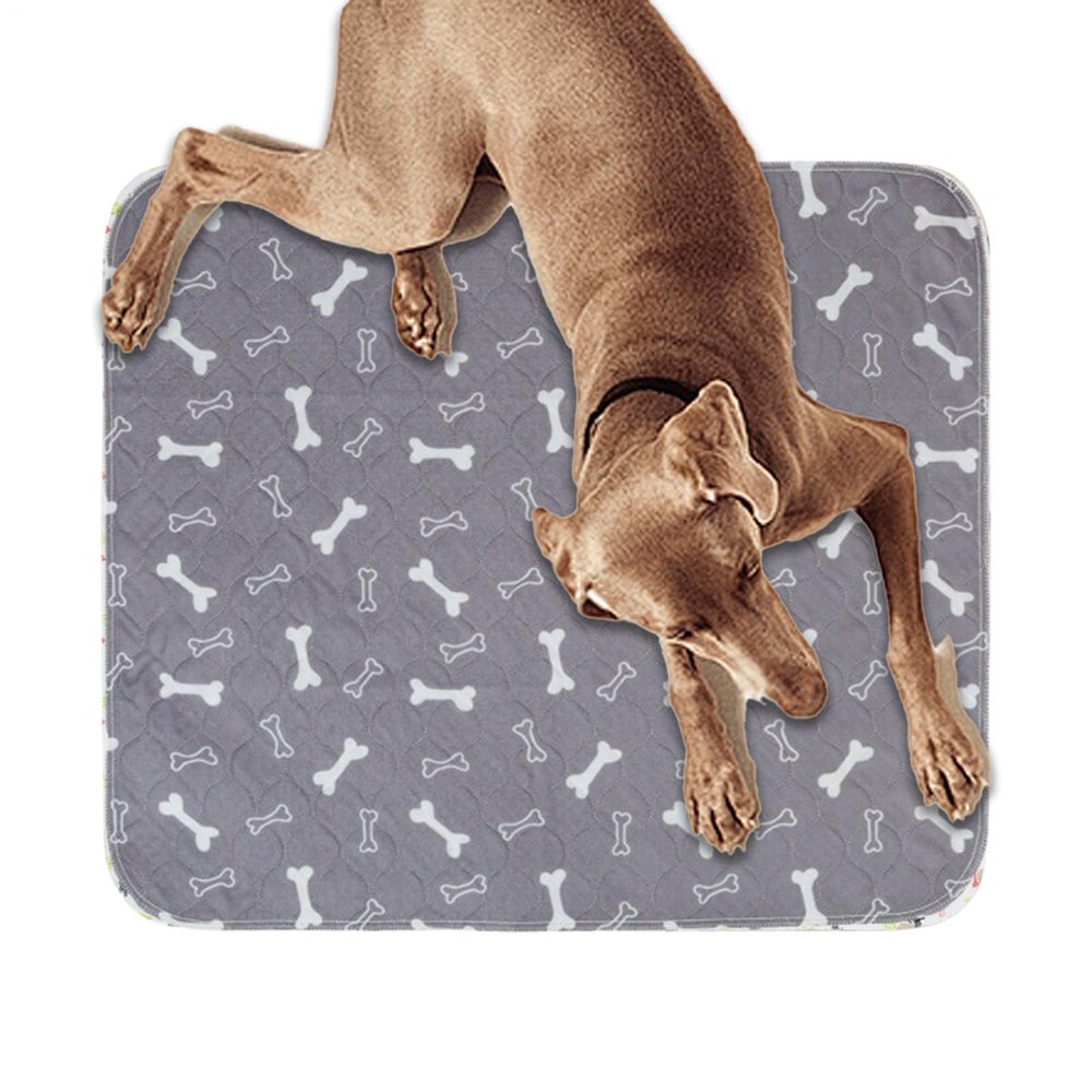 Fast-Absorbing Puppy Training Pads