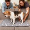 Fast-Absorbing Puppy Training Pads view 2