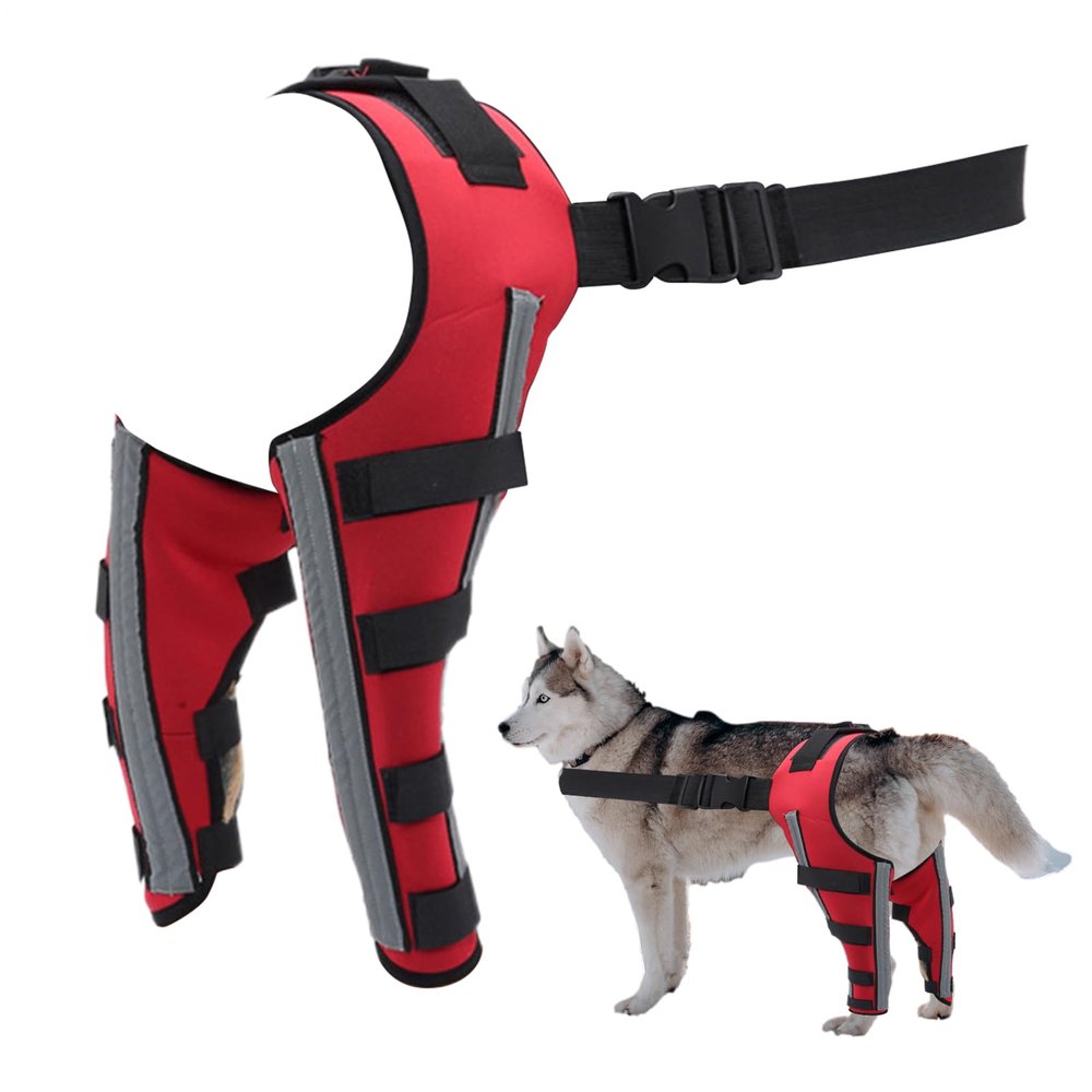 Baoqifong Orthopedic Support for Dogs – Dog Knee Joint Support