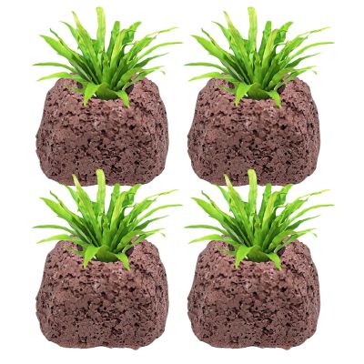 Ahuuen Plant Holder for Aquarium