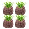 Ahuuen Plant Holder for Aquarium view 1