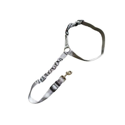 AMSLSIU Practical Dog Safety Harness