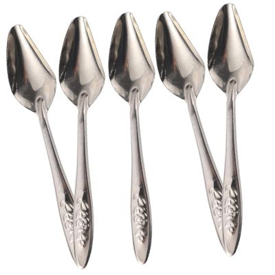 VICASKY Parrot Feeding Spoon - 5 Pack