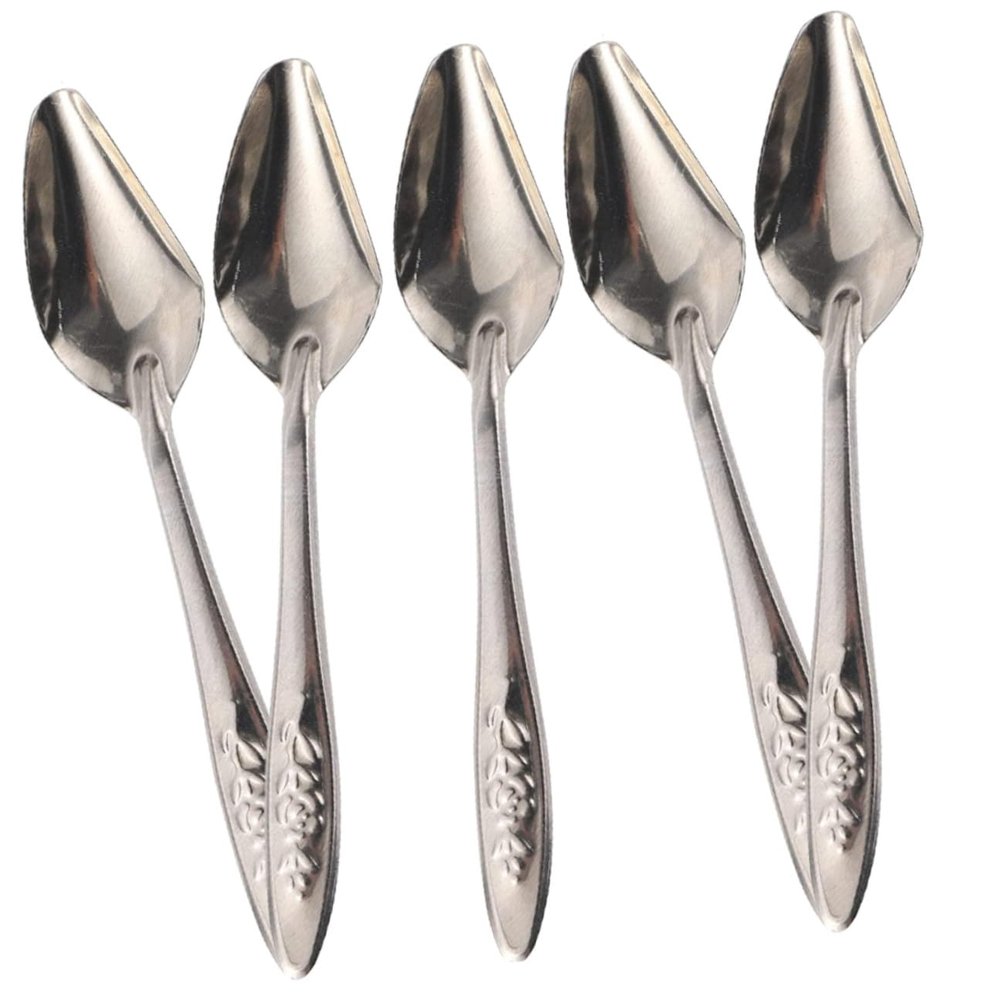 VICASKY Parrot Feeding Spoon - 5 Pack