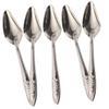 VICASKY Parrot Feeding Spoon - 5 Pack view 1