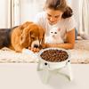 Slow-Feeder Dog Bowl with Ceramic Bowl and Metal Stand view 3