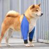 Front Elbow Support for Dogs, 60 g, Breathable Recovery Bandage view 3