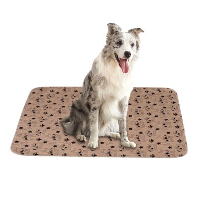 Puppy Pad - Washable Pet Training Mat