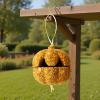 Treats for Parakeets, Chew Toy for Parrots view 3