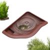 Eoixuqba Reptile Feeding Bowl and Bath Basin view 1