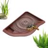 Eoixuqba Reptile Feeding Bowl and Bath Basin view 4