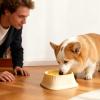 Leak-Proof Water Bowl for Dogs, Large Capacity view 2