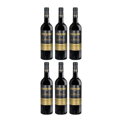 Domeco de Jarauta Via Marro Reserva Rioja DOCa Dry Red Wine, Spain, with FineWert E-Book (6 x 0.75 L)