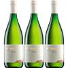 Winzergenossenschaft Herxheim am Berg Riesling QbA 1 L Dry White Wine, Germany, incl. FeinWert E-Book (3 x 1 L) view 1