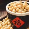 DAMAICHUHAI Yuba Dried Tofu, Flavor-Absorbing and Chewy, 500 g/17 oz view 4