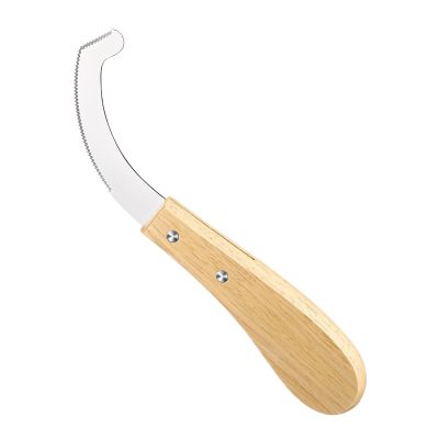 Bot Fly Egg Remover Tool