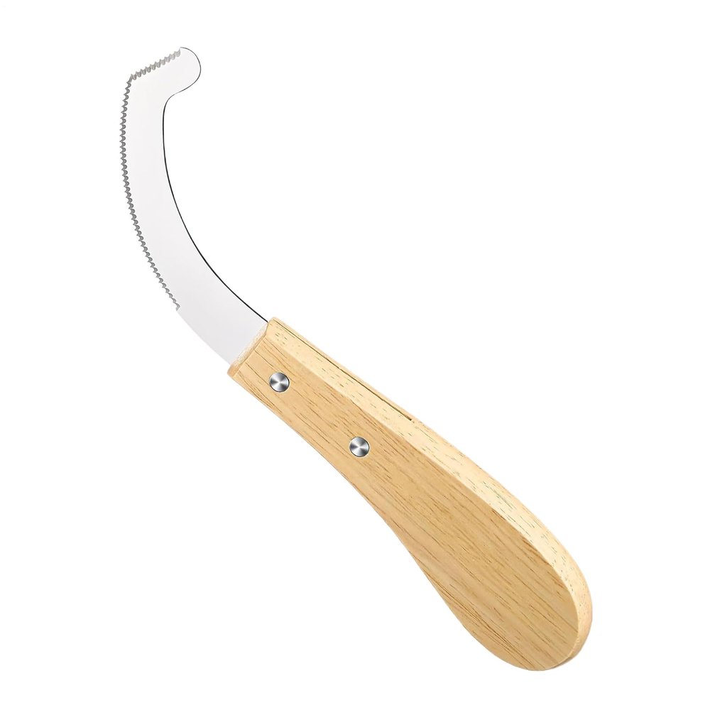 Bot Fly Egg Remover Tool