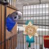 Natural Bird Toy - Chewing Cork view 2