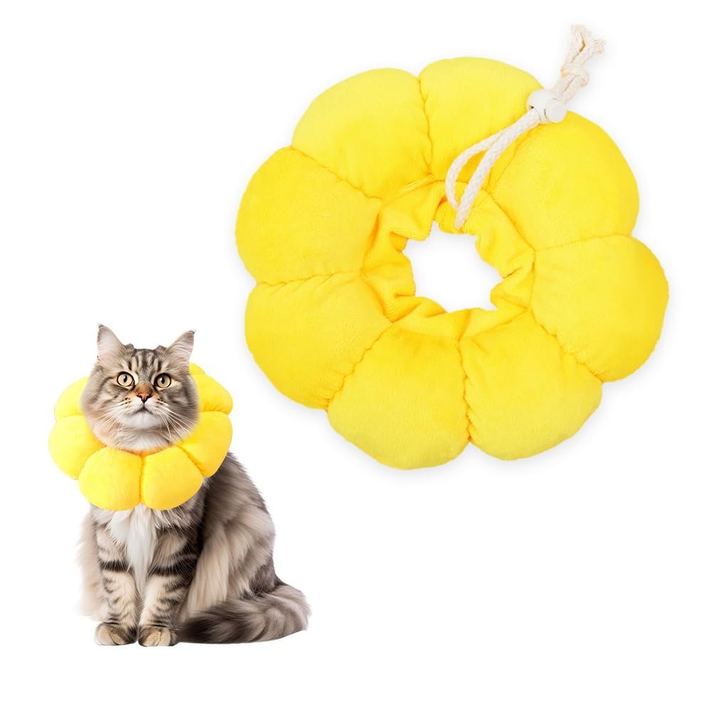 HMCEY Cat Recovery Collar