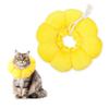 HMCEY Cat Recovery Collar view 1