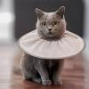 uikios Recovery Collar for Pets view 4
