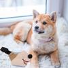 SHINEOFI Adjustable Breathable Canvas Dog Muzzle view 4