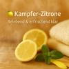 Dufte Momente Lemongrass Sauna Infusion Concentrate, 3 L view 3