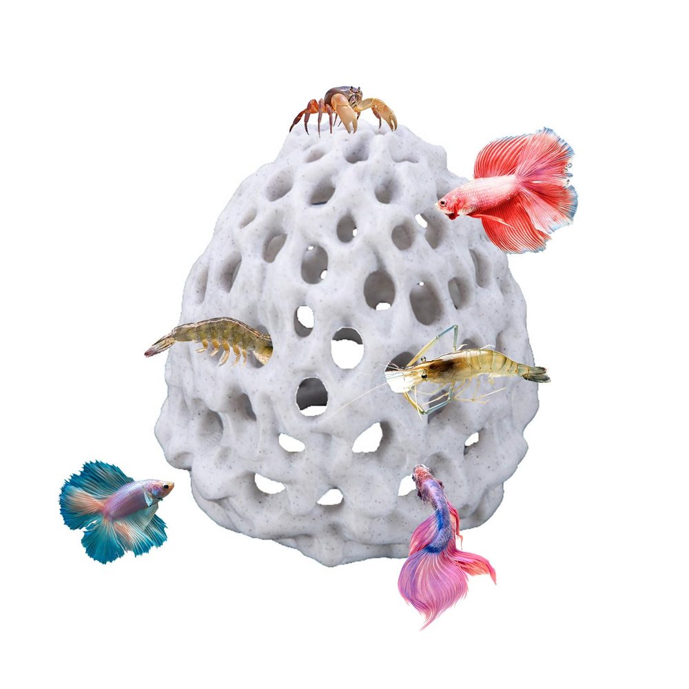 JOYOLA Shrimp Dome Hide