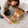 Slow Feeder Bowl for Dogs view 3