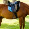 Weather-Resistant Plastic Horse Stirrups with Non-Slip Rubber Pads view 3